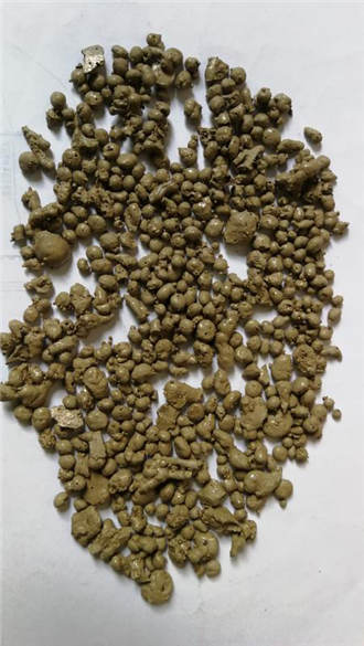 圖片4.jpg 圖片4.jpg