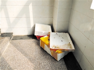 1585797109515682.jpg 4.jpg