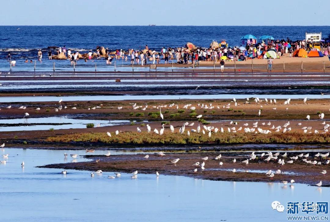 1586917900375257.jpg p34_b.jpg