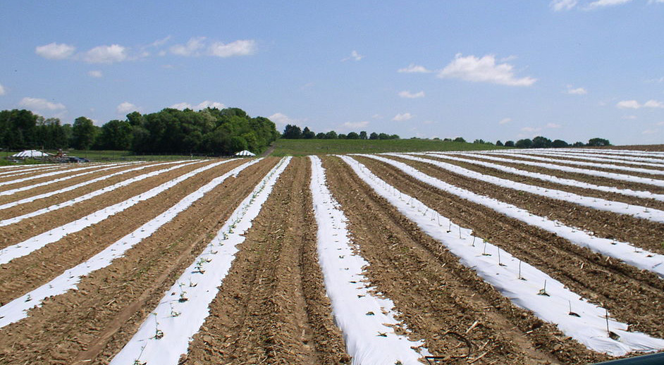 1597199117552845.png 微信圖片_20200812101933.png