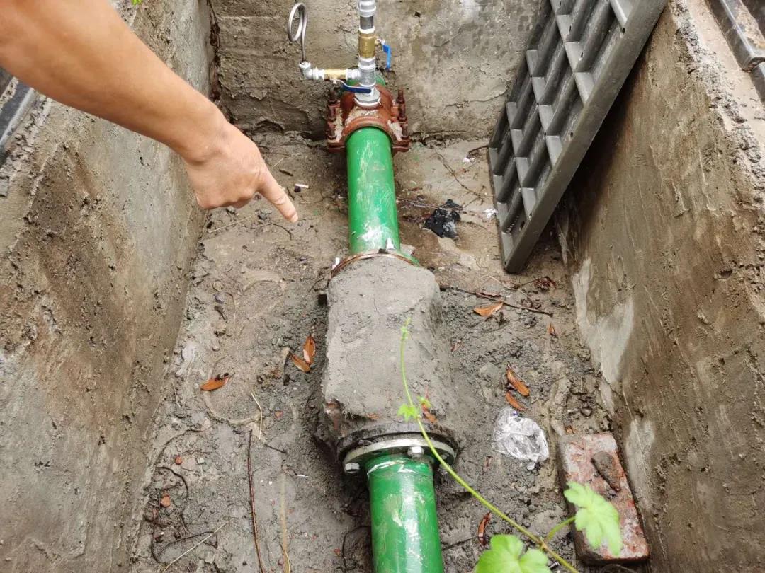 1599741455421290.jpg 1.jpg