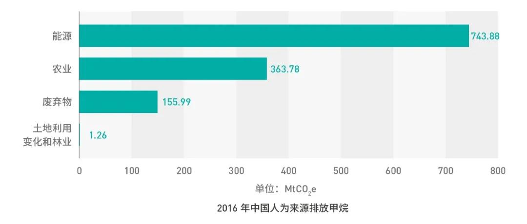 1603674283982079.jpg 8.jpg